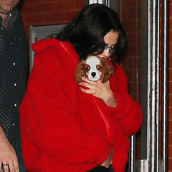 Selena Gomez Steps Out With Puppy After Kidney Transplant Reveal - E