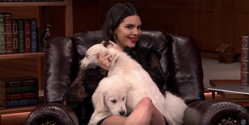 Kendall Jenner Cuddles Puppies In Tonight Show Trivia Game