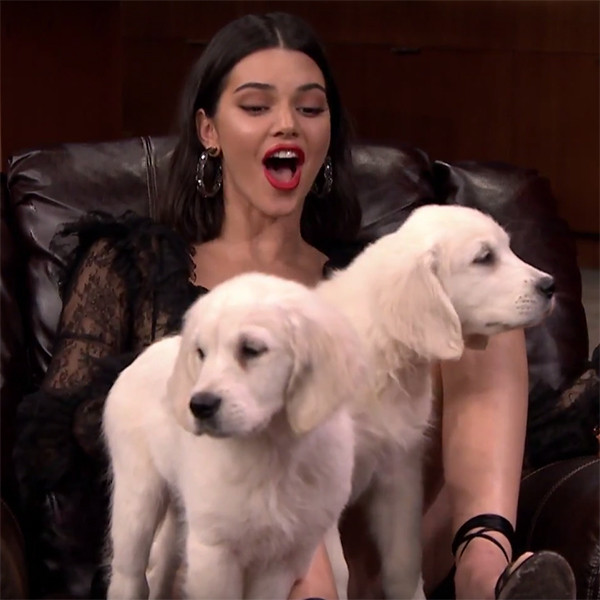 Kendall Jenner Cuddles Puppies in Tonight Show Trivia Game - E! Online