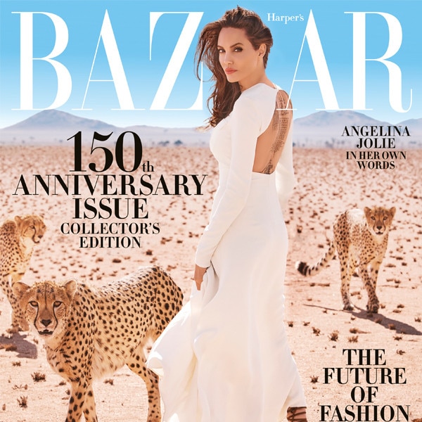 Angelina Jolie Poses With Cheetahs in Harper's Bazaar - E! Online