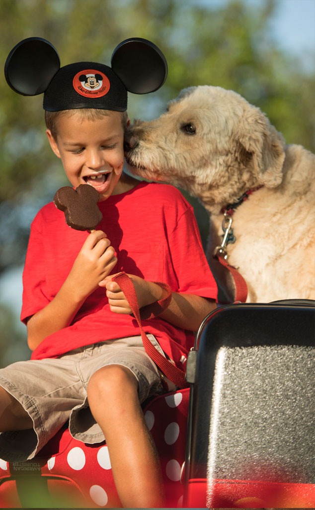 Disney Resorts, Dogs