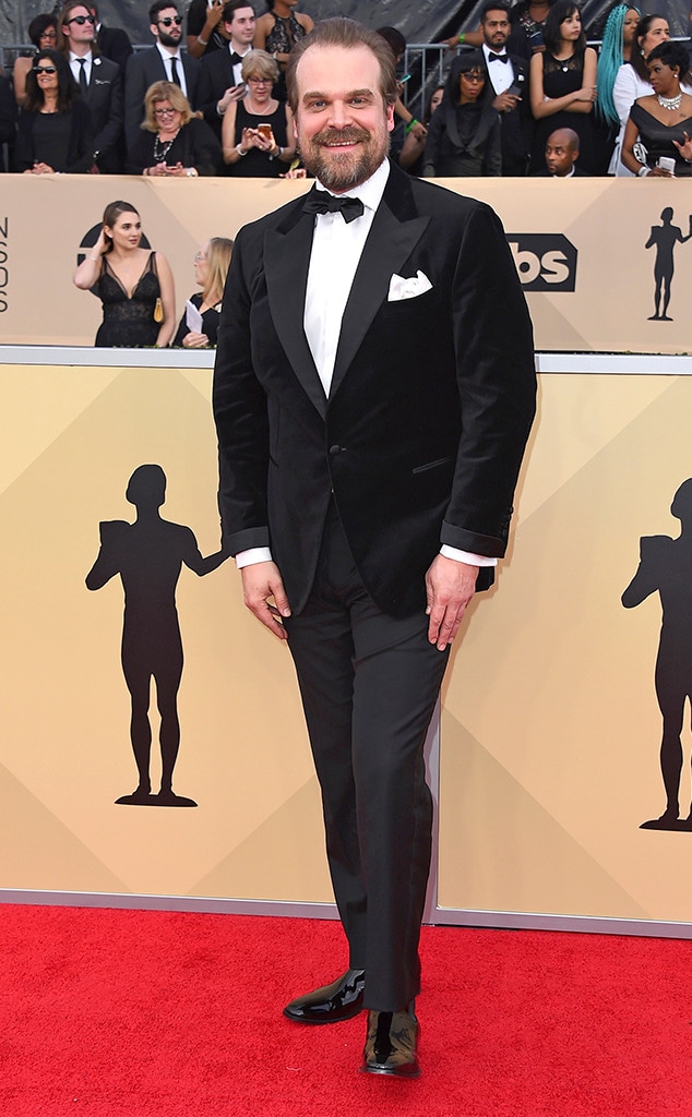 David Harbour, 2018 SAG Awards, Red Carpet Fashions