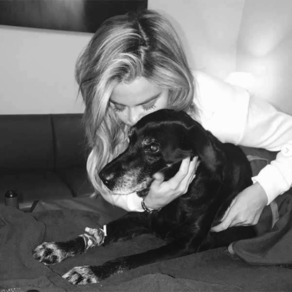 Khloe Kardashian Mourns Death Of Beloved Dog Gabbana E Online