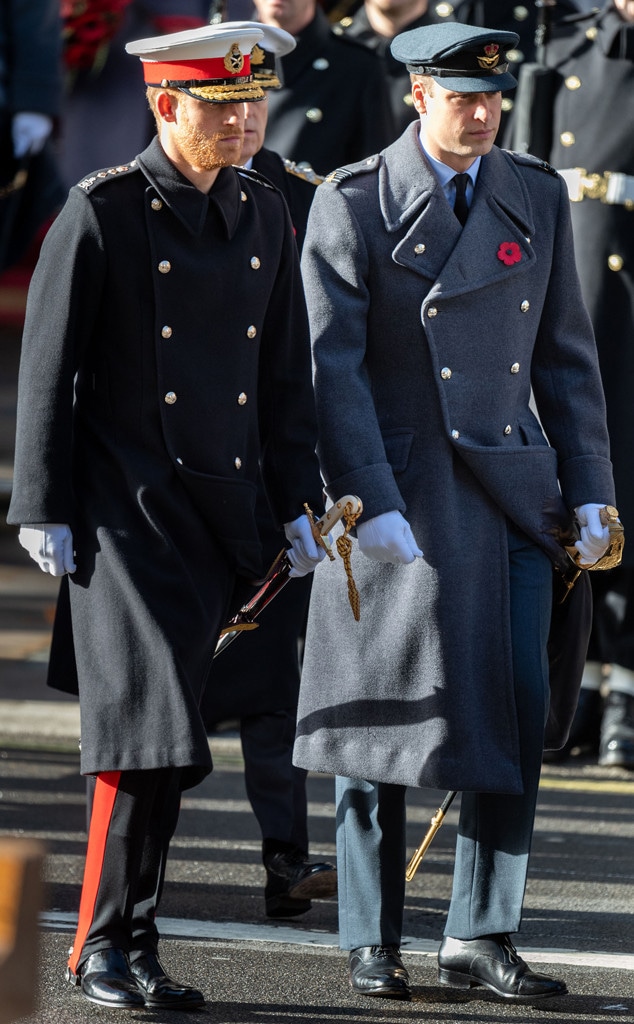 Prince Harry, Prince William, Remembrance Day