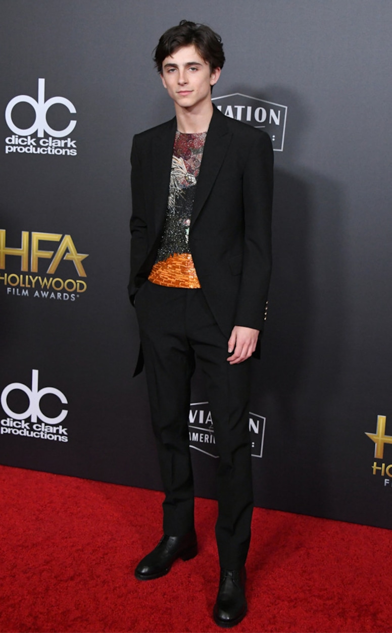 Timothee Chalamet, 2018 Hollywood Film Awards
