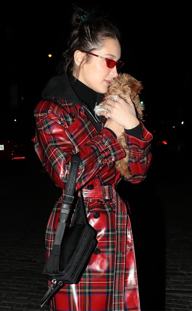 Bella Hadid