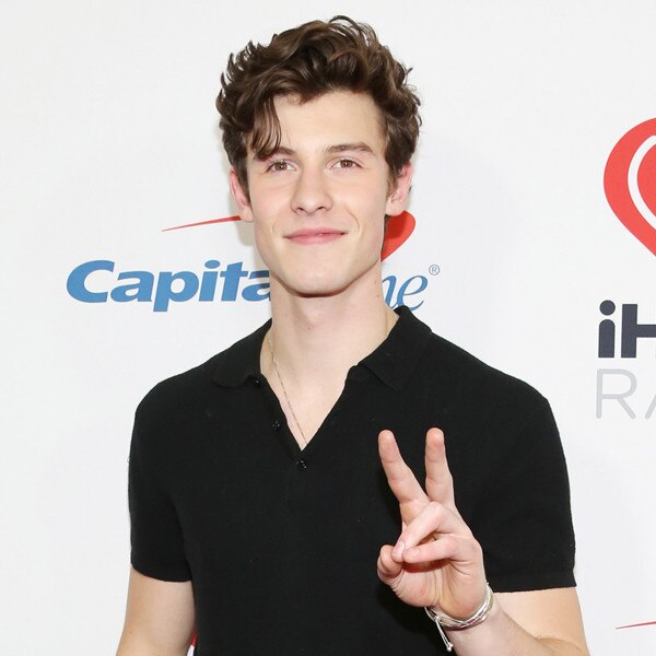 Shawn Mendes Apologizes for Accidentally Liking Hateful Tweet