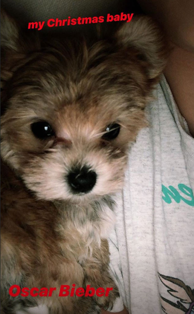 Hailey Baldwin, Justin Bieber, Oscar Bieber Hailey Baldwin, Justin Bieber, Oscar Bieber