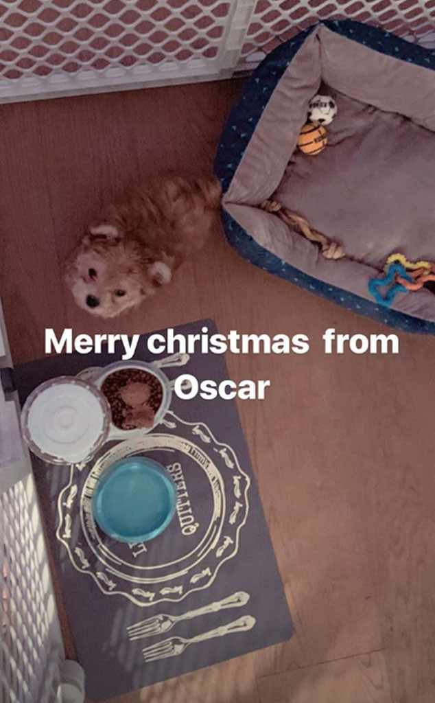 Hailey Baldwin, Justin Bieber, Oscar Bieber Hailey Baldwin, Justin Bieber, Oscar Bieber