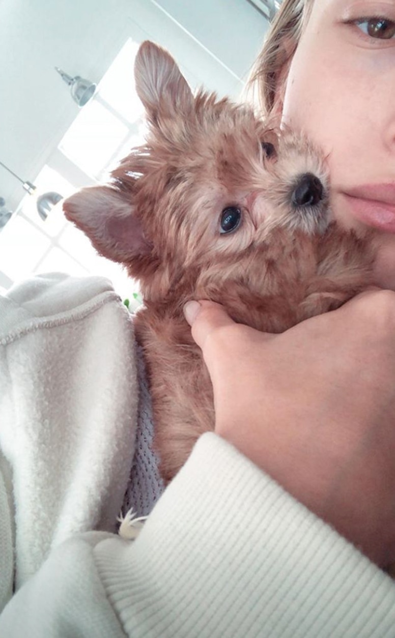 Hailey Baldwin, Puppy, Christmas 2018