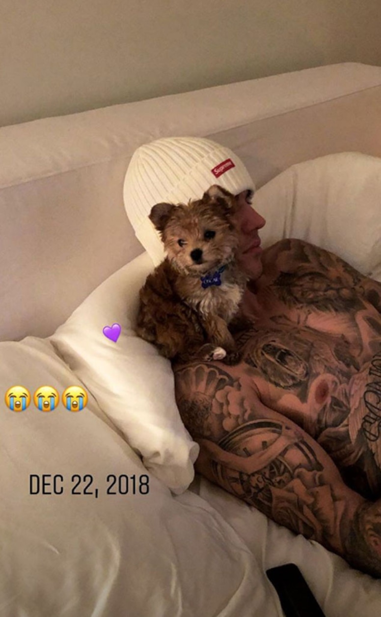 Hailey Baldwin, Justin Bieber