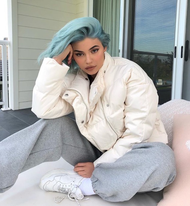 Kylie Jenner Now Has Blue Hair E News