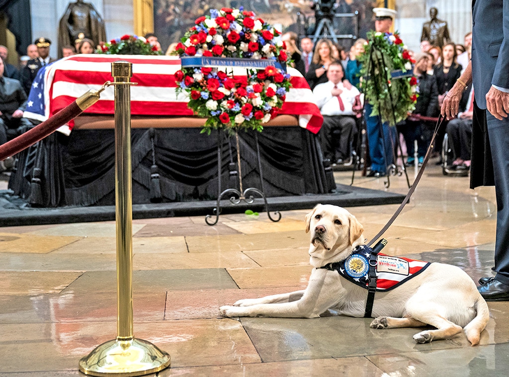 Sully, President George H. W. Bush Casket