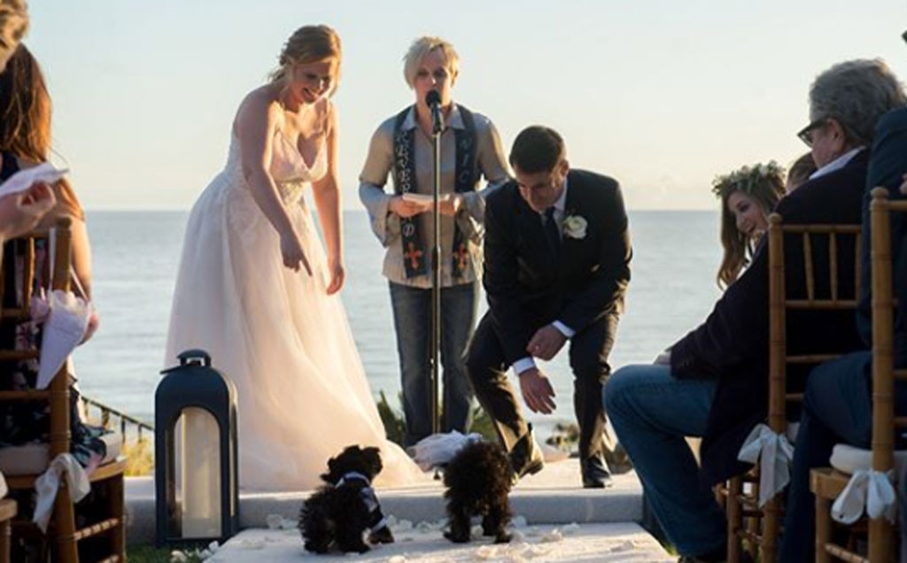 Puppy Love from Amy Schumer and Chris Fischer Wedding