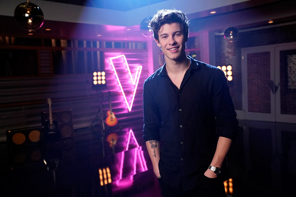 Shawn Mendes, The Voice