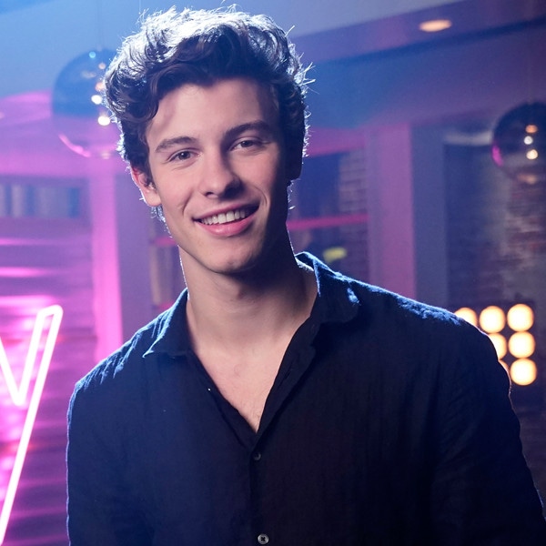 Shawn Mendes, The Voice
