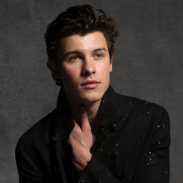 Listen To Shawn Mendes New Single In My Blood E News