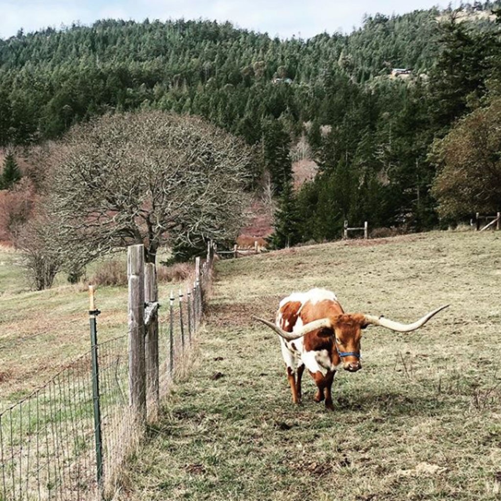 Chris Pratt, farm 