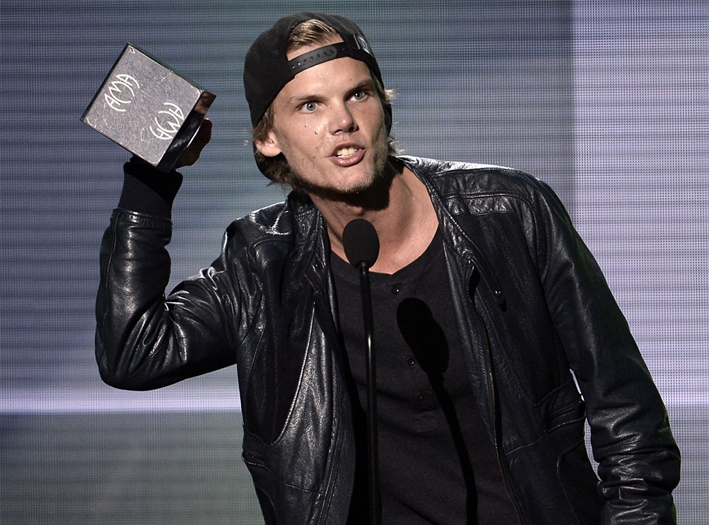 Avicii, 2013 American Music Awards