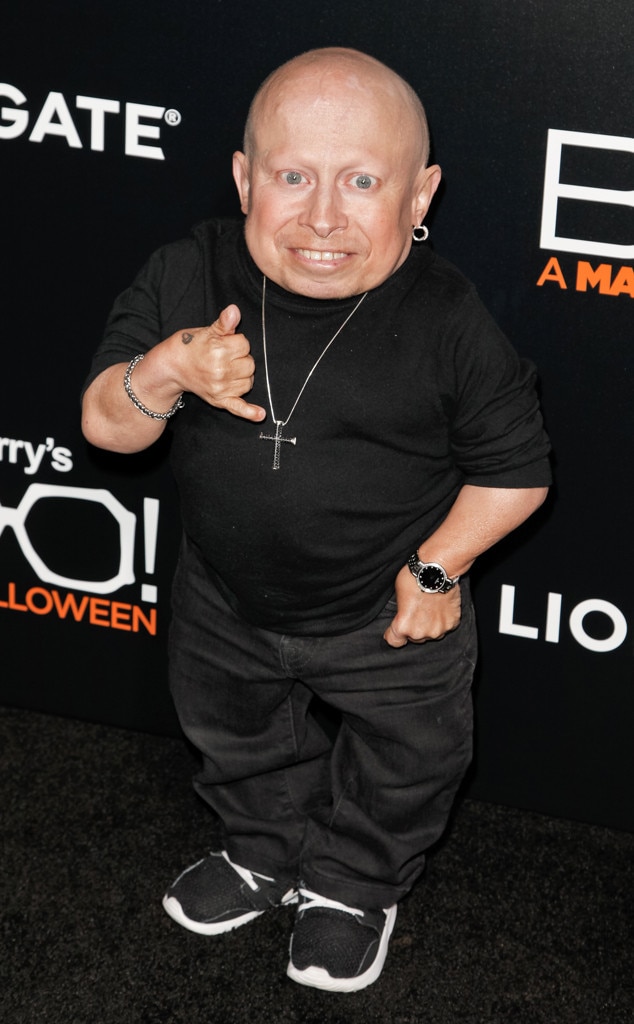 Next photo of Verne Troyer