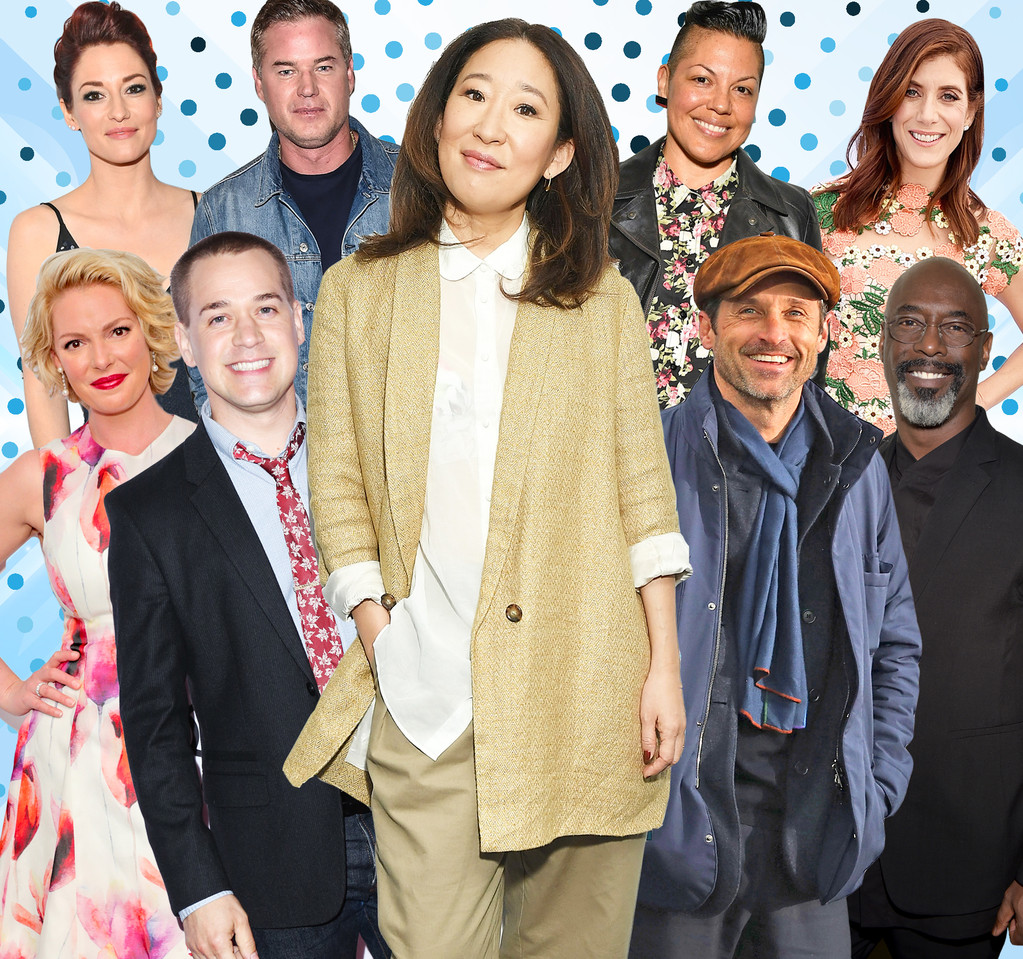 23+ Grey's Anatomy Cast Images