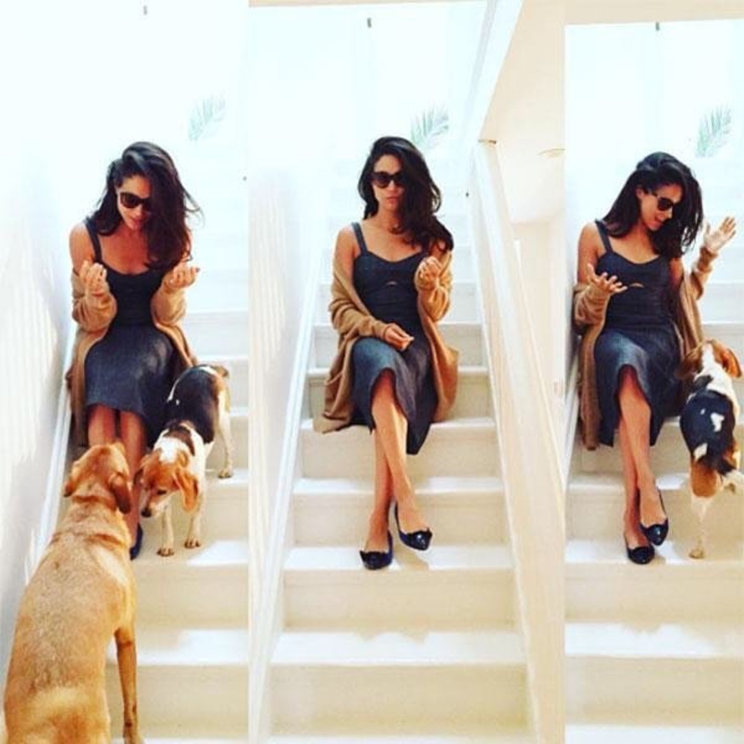 Meghan Markle, Dogs, Instagram