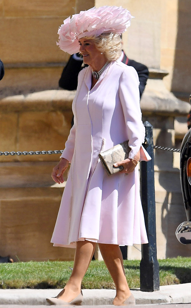 Camilla Duchess of Cornwall, Camilla Parker-Bowles, Royal Wedding, Guests, Arrivals