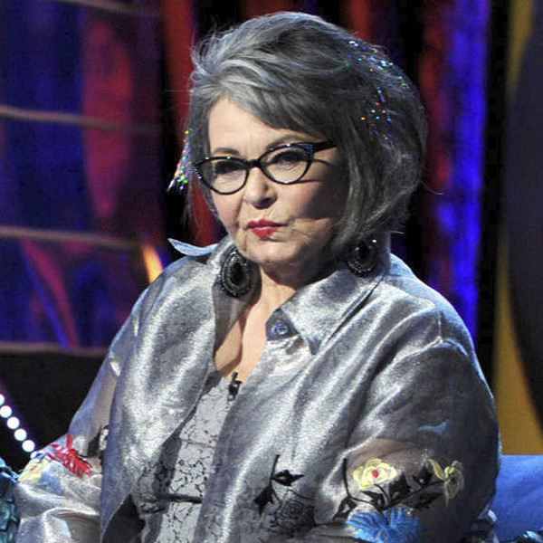 What Happened To Roseanne Barr When Twitter Trumped Reality E Online