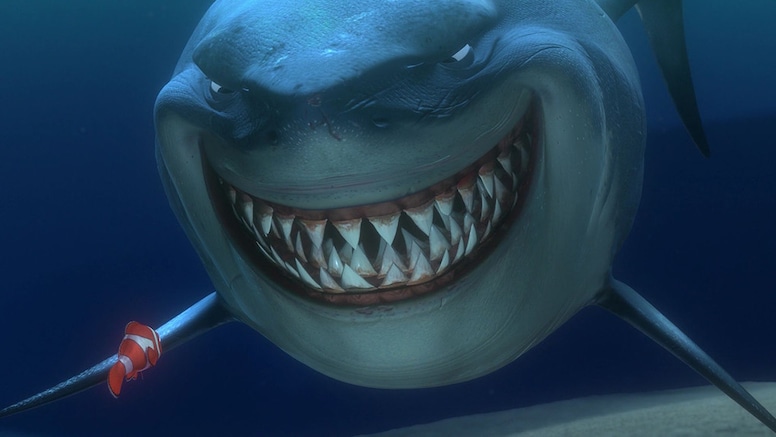 Photos from Finding Nemo: 15 Things You Never Knew - E! Online