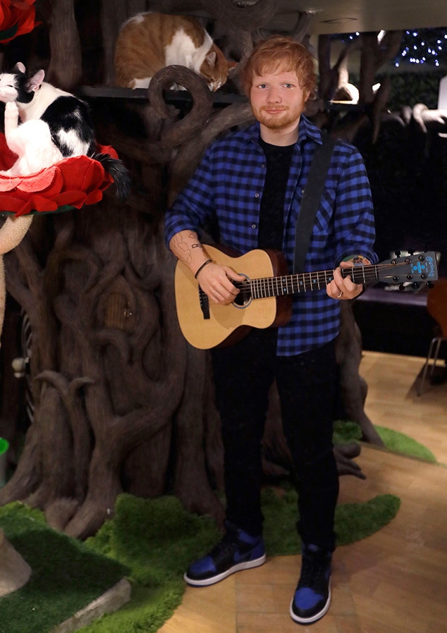 Ed Sheeran, Wax Figure