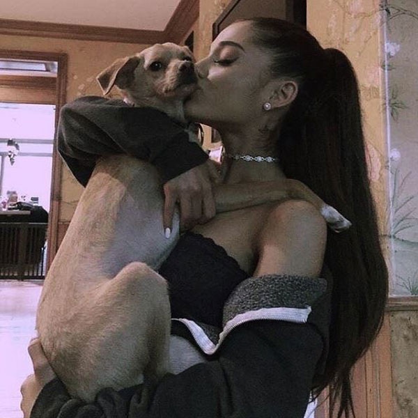 Ariana Grande Dog