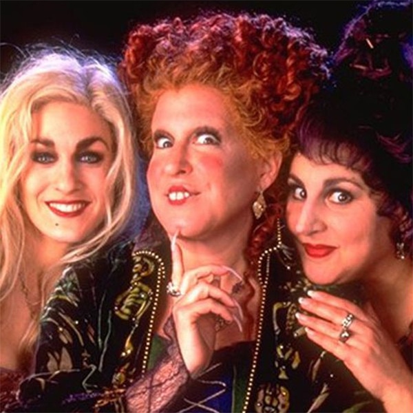 how much money does hocus pocus make a year