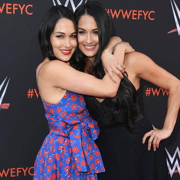 Read Nikki and Brie Bella Promise to