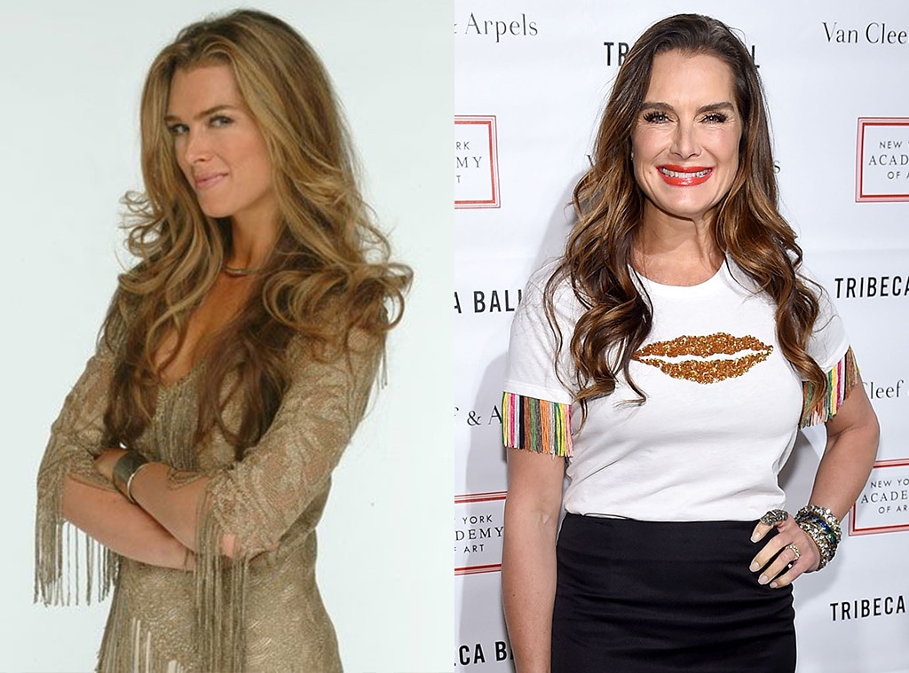 Brooke Shields, That 70s Show 