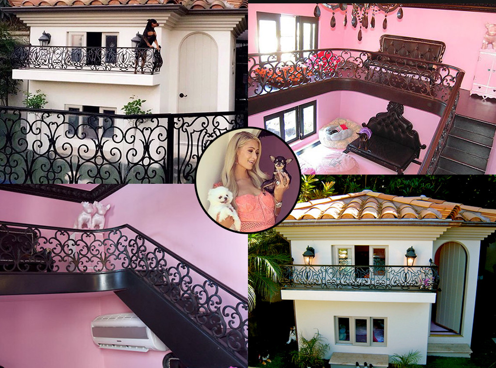 Kylie Jenner, Paris Hilton & More Stars Who Have Luxurious Pet Homes