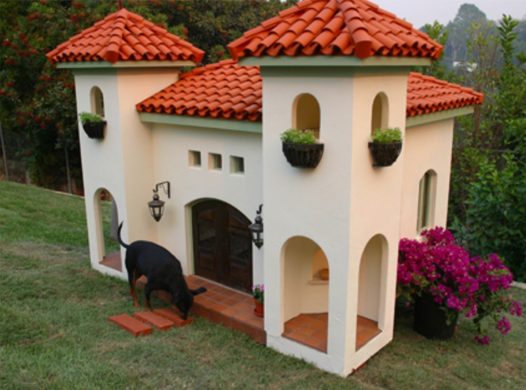 Paris hilton deals dogs house