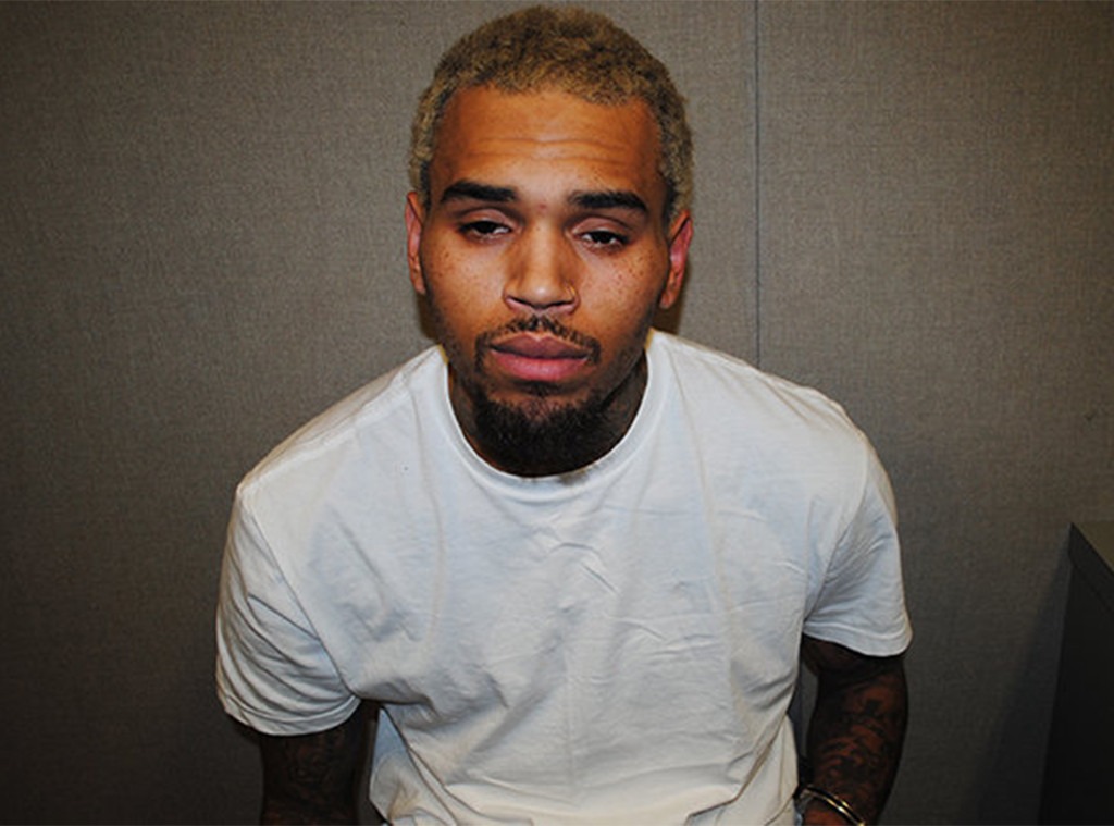 A Timeline Of All Of Chris Browns Arrests And Legal Troubles E News 