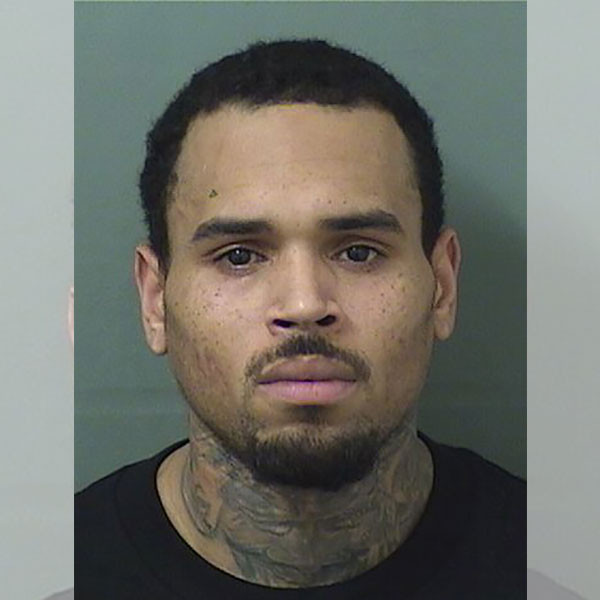 Chris Brown, Mug Shot