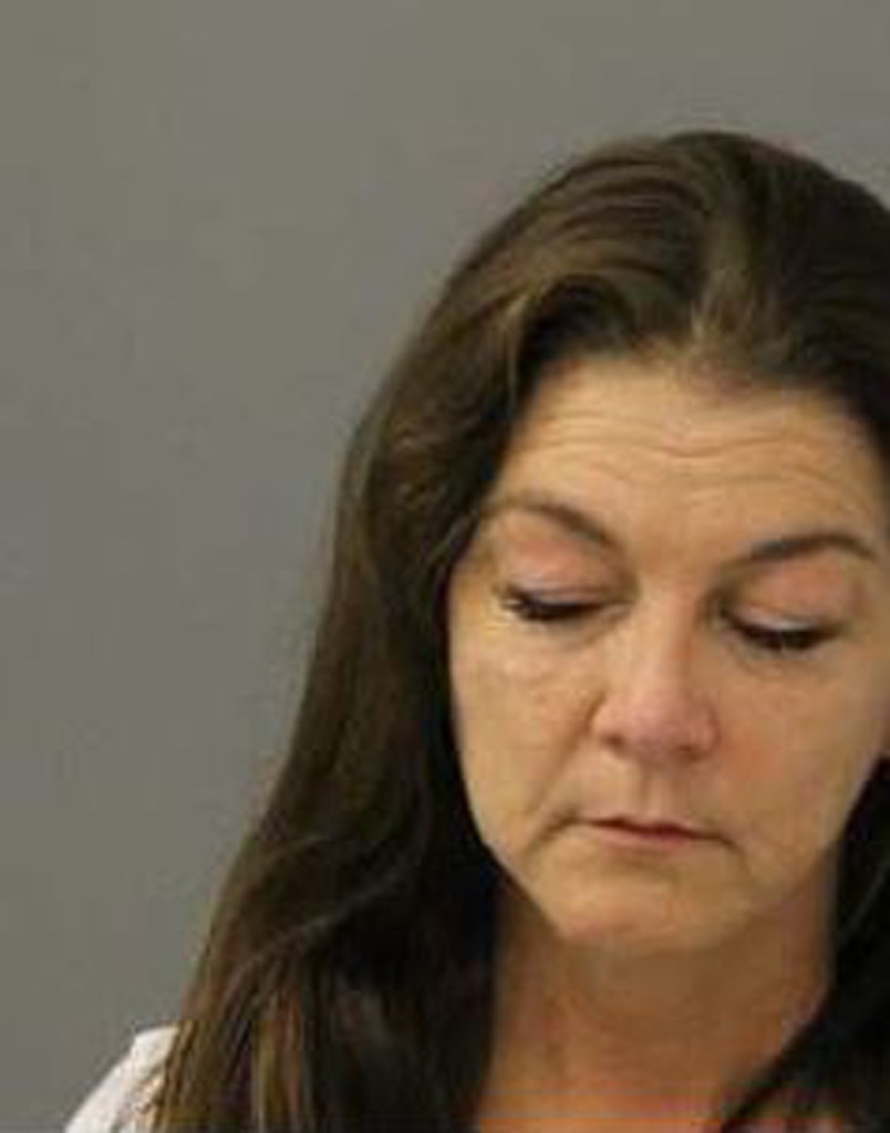 Gretchen Wilson, Mug shot