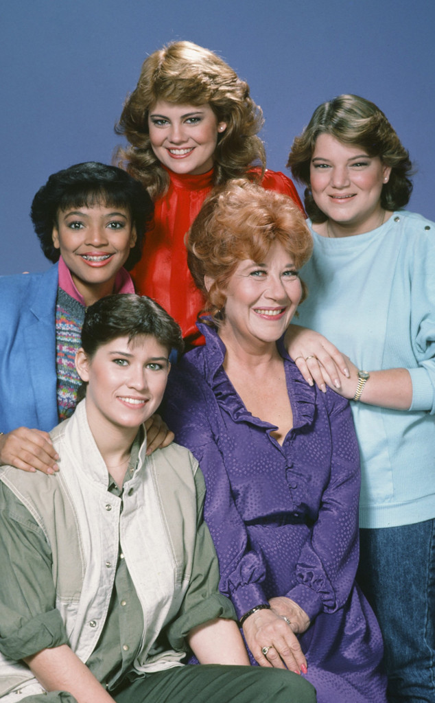 The Facts of Life from TV Reboots, Remakes and Revivals Guide: Which ...