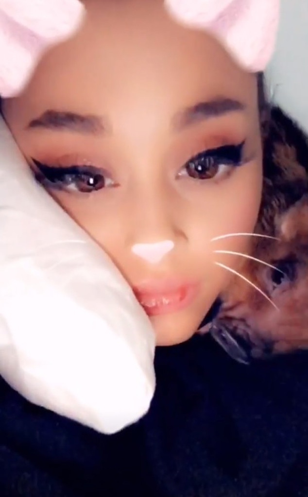Ariana Grande, Pet Pig, Instagram