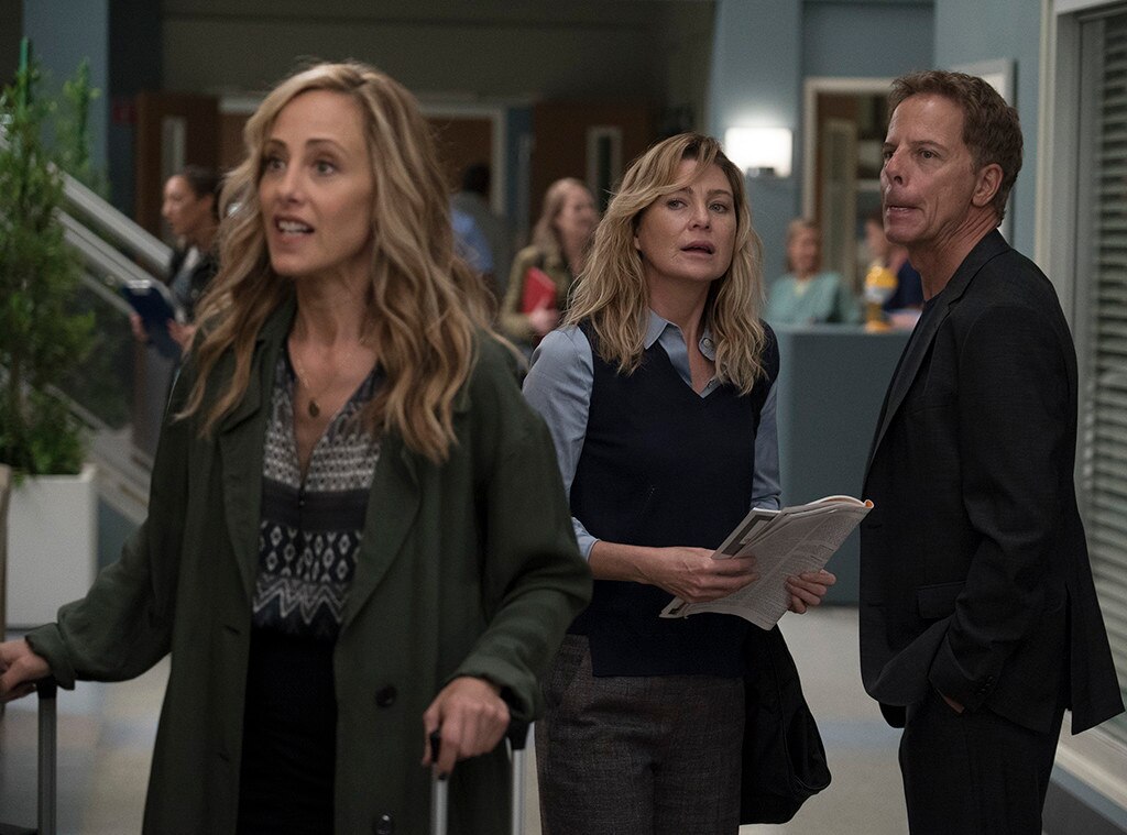Grey's Anatomy, Season 15