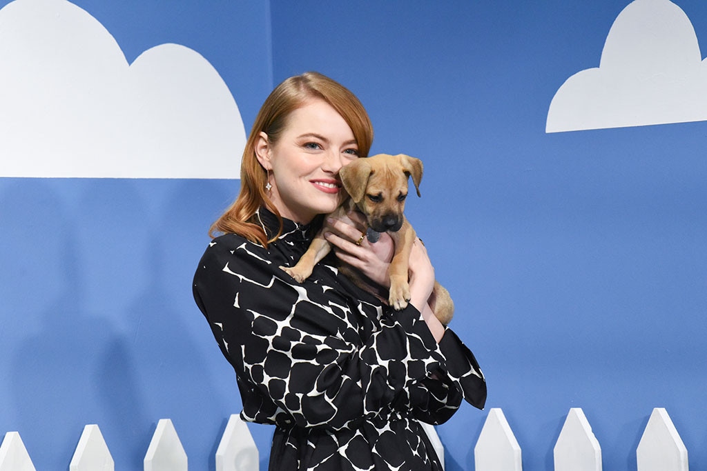 Emma Stone, dog, The Late Show