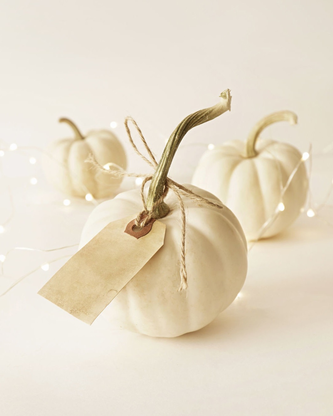 Shopping: Chic Halloween Decor