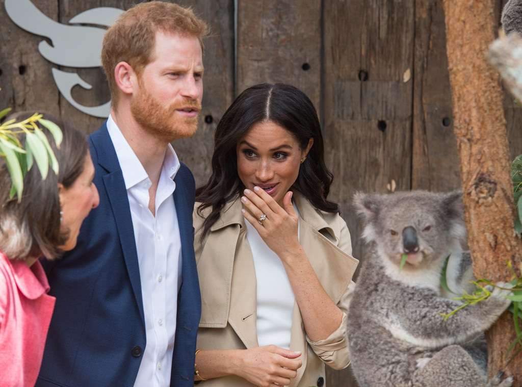 Prince Harry, Meghan Markle, Australia, Koala
