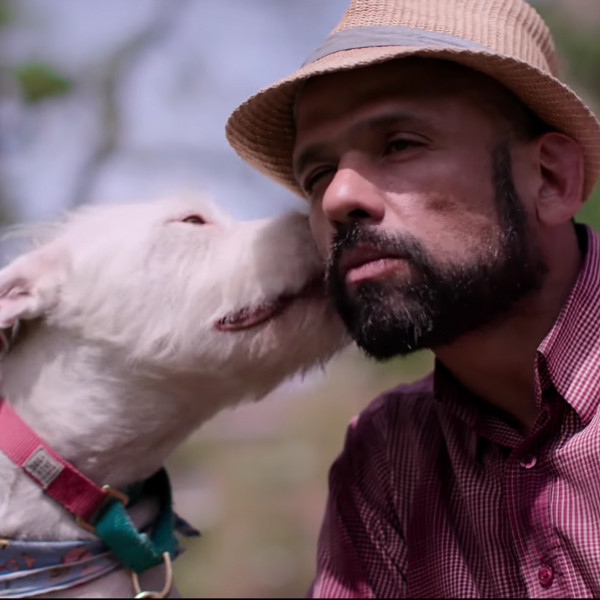 Netflix's newest series is a dog-cumentary