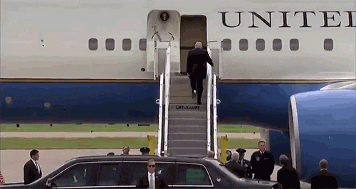 Donald Trump, Toilet Paper, Air Force One, GIF