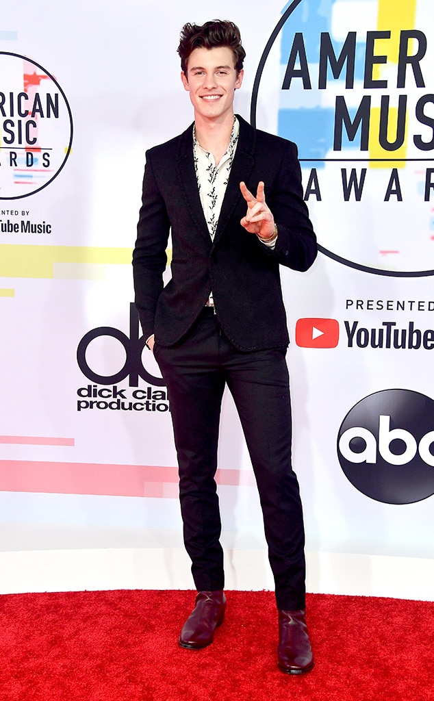 Shawn Mendes from 2018 American Music Awards Red Carpet Fashion | E! News