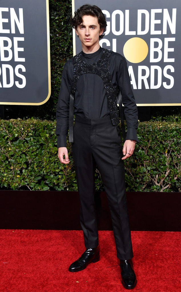 Timothee Chalamet, 2019 Golden Globe Awards