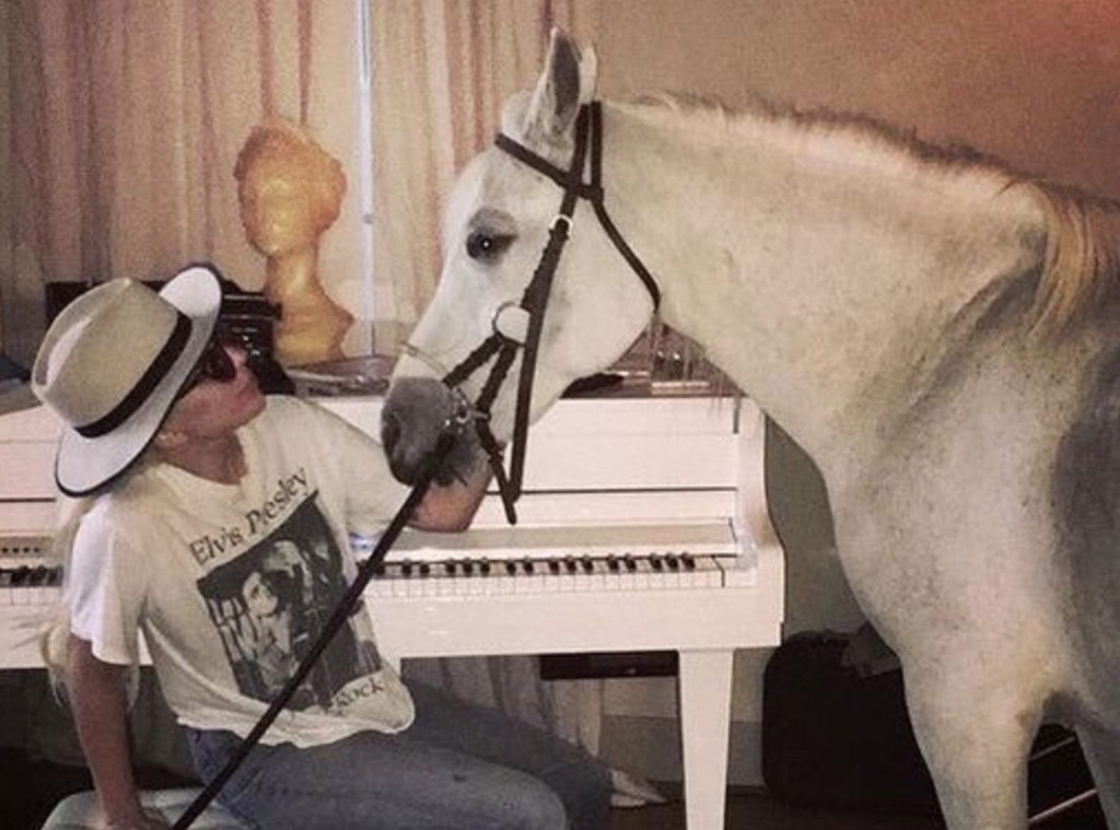 Lady Gaga, Horse